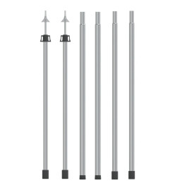 Mâts de bâche télescopiques 102-260 cm 2 pcs Aluminium