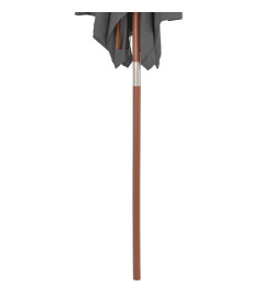 Parasol avec mât en bois 150 x 200 cm Anthracite