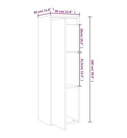 Armoire murale 30x30x100 cm Bois de pin massif