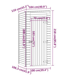 Abri de stockage de jardin 100x110x218 cm Bois de pin imprégné