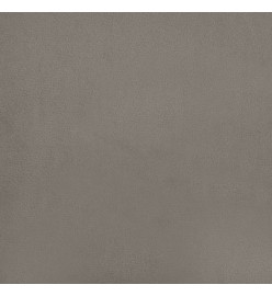 Panneaux muraux 12 pcs Gris clair 90x15 cm Velours 1,62 m²