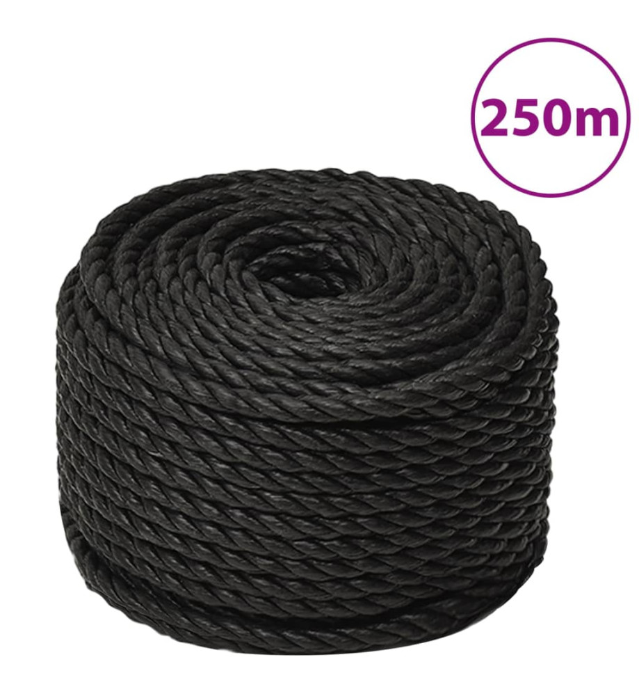 Corde de travail Noir 10 mm 250 m polypropylène