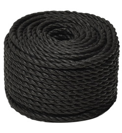 Corde de travail Noir 10 mm 250 m polypropylène