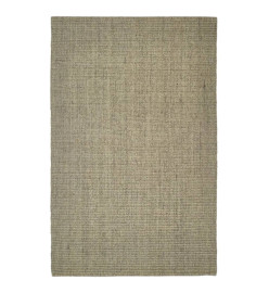 Tapis Sisal naturel 66x100 cm Taupe