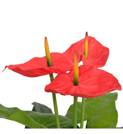 Plante artificielle avec pot Anthurium 90 cm Rouge et Jaune