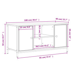 Meuble TV Noir 100x40x50 cm Bois d'ingénierie