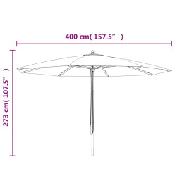 Parasol de jardin avec mât en bois anthracite 400x273 cm