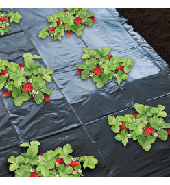 Nature Feuille de paillis pour fraises 1,4 x 20 m 6030231