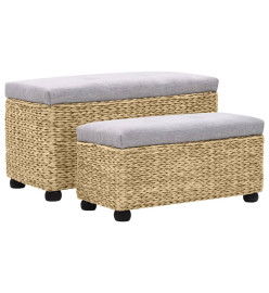 Ensemble de banc 2 pcs Jacinthe d'eau Gris