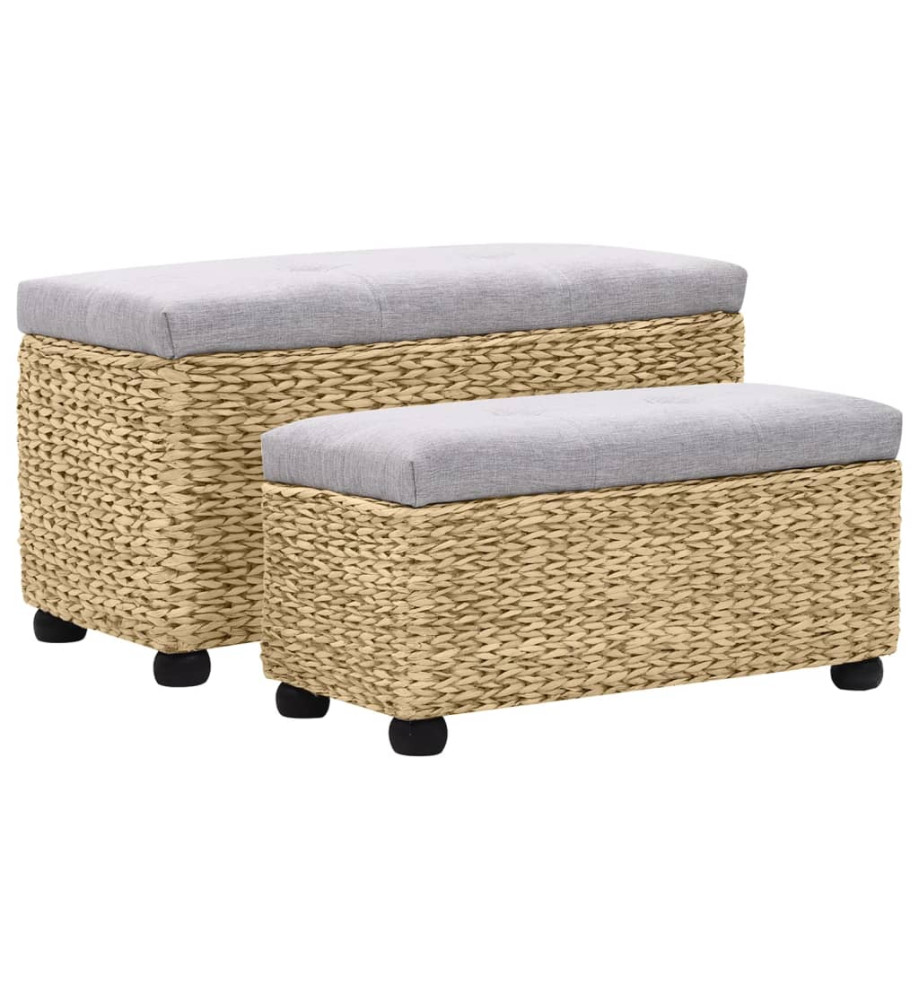 Ensemble de banc 2 pcs Jacinthe d'eau Gris