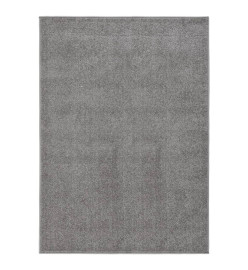 Tapis à poils courts 140x200 cm Gris