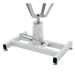 Table Toilettage Ajustable Hydraulique pour Chiens avec Pivot