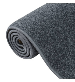 Tapis à poils courts 160x230 cm Anthracite