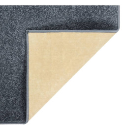 Tapis à poils courts 160x230 cm Anthracite