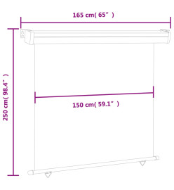 Auvent latéral de balcon 160x250 cm Noir