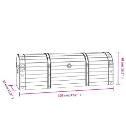 Coffre de rangement Bois massif style vintage 120x30x40 cm