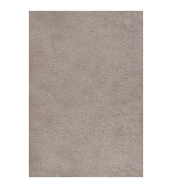 Tapis shaggy à poils longs Beige 160x230 cm