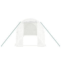 Serre avec cadre en acier blanc 12 m² 6x2x2 m