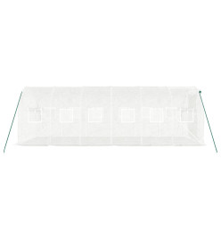 Serre avec cadre en acier blanc 12 m² 6x2x2 m