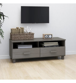 Meuble TV HAMAR Gris clair 106x40x40 cm Bois massif de pin