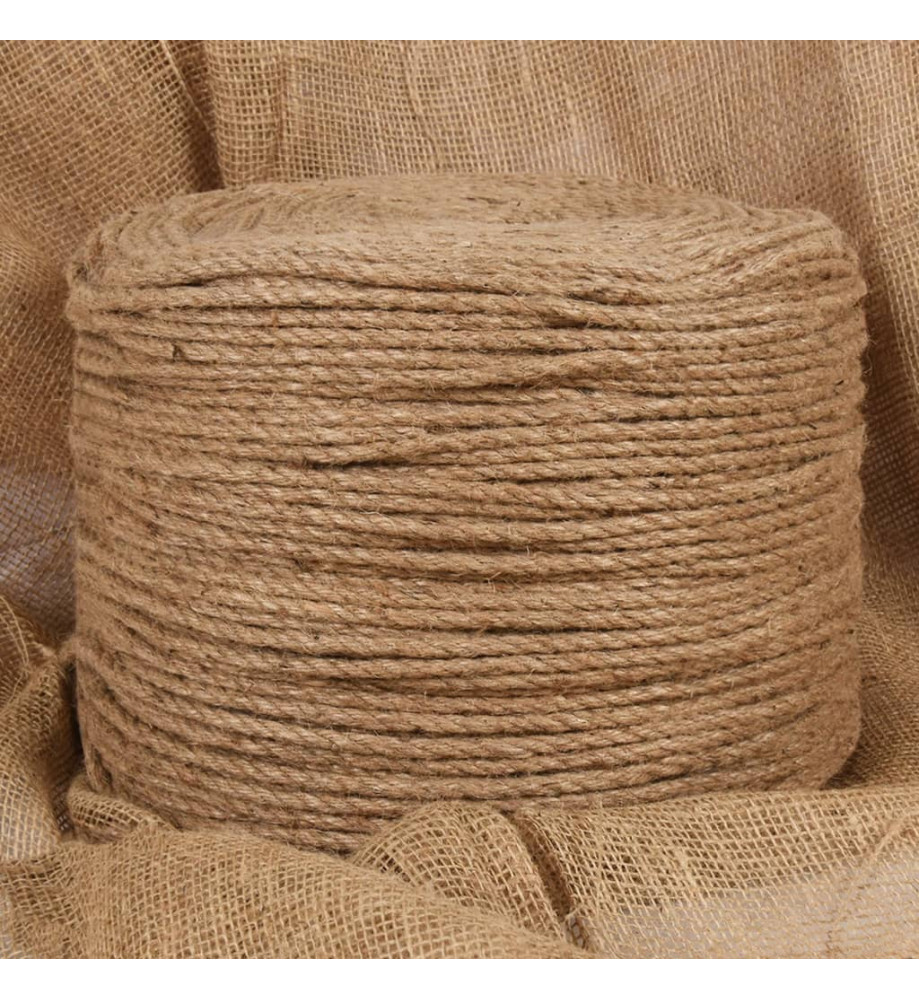 Corde de jute 100 m de long 4 mm d'épaisseur