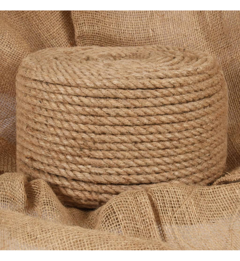 Corde de jute 50 m de long 10 mm d'épaisseur