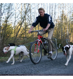 SPRINGER Kit d'exercice de vélo pour chiens