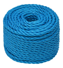 Corde de travail Bleu 10 mm 25 m Polypropylène