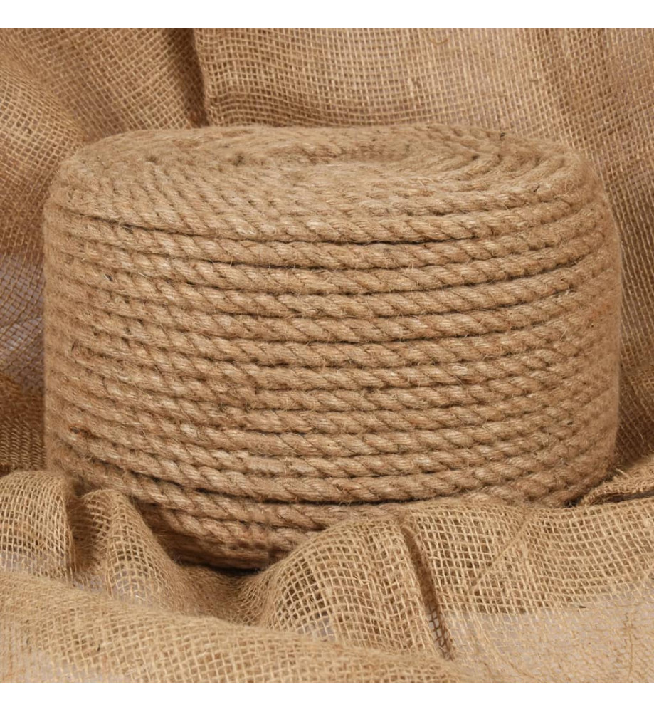 Corde de jute 50 m de long 12 mm d'épaisseur