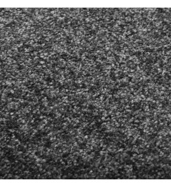 Paillasson lavable Anthracite 120x180 cm