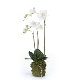 Emerald Orchidée phalaenopsis artificielle 70 cm Blanc