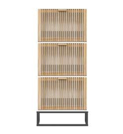 Armoire à chaussures blanc 52x25x120 cm bois d'ingénierie