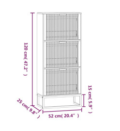 Armoire à chaussures blanc 52x25x120 cm bois d'ingénierie