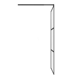 Paroi de douche 100x195 cm Verre ESG dépoli Noir