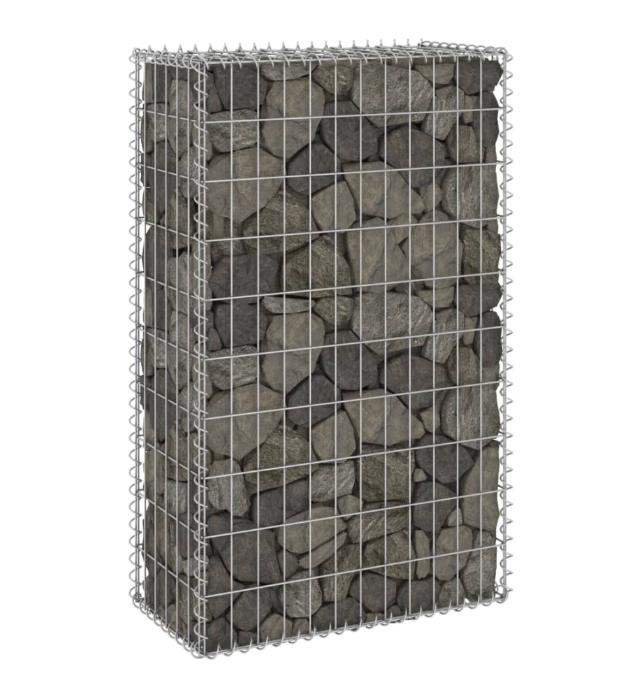 Mur en gabion avec couvercles Acier galvanisé 60x30x100 cm