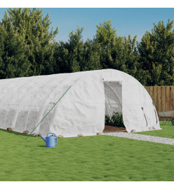 Serre avec cadre en acier blanc 30 m² 6x5x2,3 m