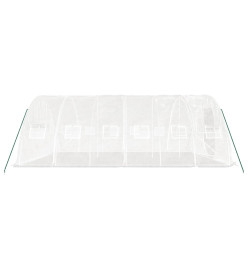 Serre avec cadre en acier blanc 30 m² 6x5x2,3 m