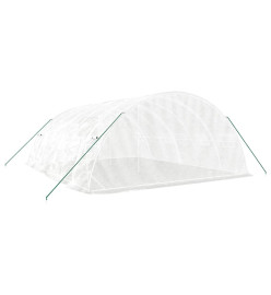 Serre avec cadre en acier blanc 30 m² 6x5x2,3 m