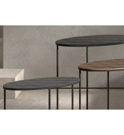 Rousseau Ensemble de tables d'appoint 3 pcs Tanto Métal Noir et doré