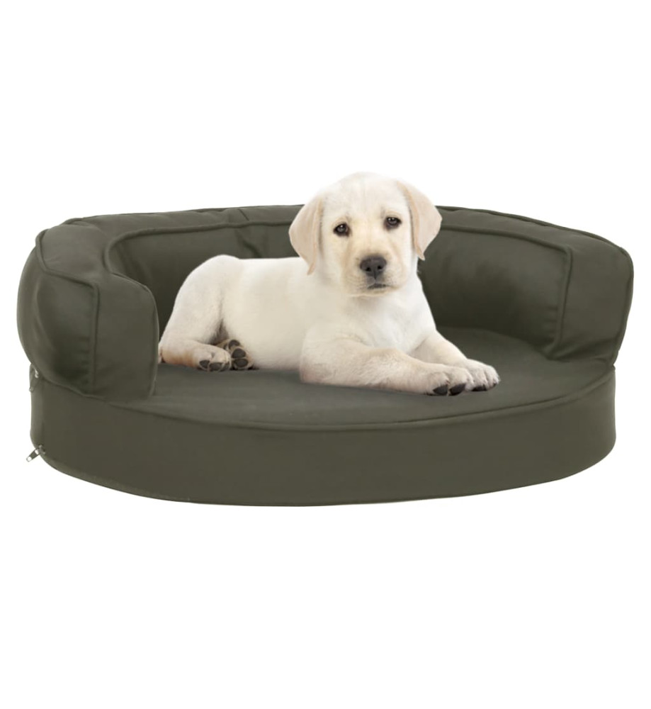 Matelas de lit ergonomique pour chien 60x42 cm Aspect de lin