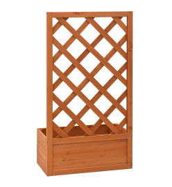 Jardinière à treillis de jardin Orange 50x25x90cm Bois de sapin