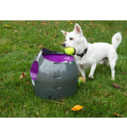 PetSafe Lanceur de balle automatique 9 m Gris et violet PTY00-14665