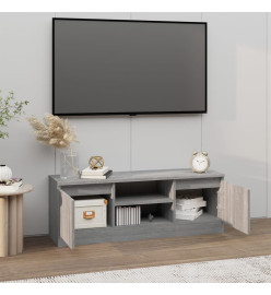 Meuble TV avec porte Sonoma gris 102x30x36 cm