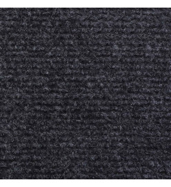 Tapis strié pour exposition 1,2x20 m Anthracite