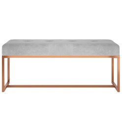 Banc Gris 110x36x45 cm Velours