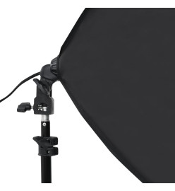 Lampes de studio professionnelles 2 pcs 40x60 cm Acier Noir