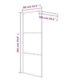 Paroi de douche Noir 80x195 cm Verre ESG transparent