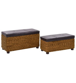 Ensemble de banc 2 pcs Jacinthe d'eau Marron