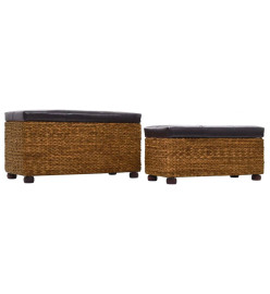 Ensemble de banc 2 pcs Jacinthe d'eau Marron