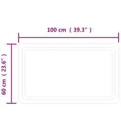 Miroir de salle de bain à LED 100x60 cm